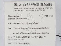 登錄號:F0018154藏品圖，第2張
