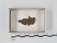 登錄號:F0018154藏品圖，第1張
