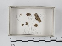 登錄號:F0018156藏品圖，第1張