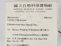 館號:F0018157藏品圖，第2張