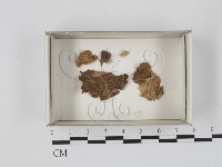登錄號:F0018159藏品圖，第1張