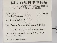 登錄號:F0018160藏品圖，第2張