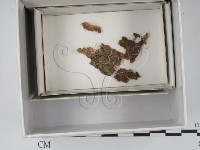 登錄號:F0018160藏品圖，第1張