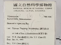 登錄號:F0018161藏品圖，第2張
