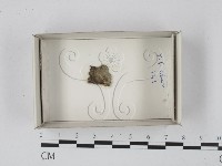 登錄號:F0018161藏品圖，第1張