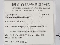 登錄號:F0018162藏品圖，第2張