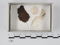 登錄號:F0018163藏品圖，第1張