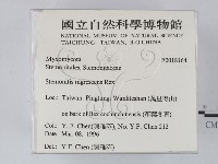 登錄號:F0018164藏品圖，第2張