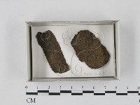 登錄號:F0018165藏品圖，第1張