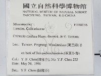 登錄號:F0018166藏品圖，第2張