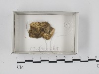 登錄號:F0018167藏品圖，第1張