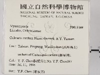 登錄號:F0018169藏品圖，第2張