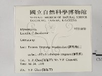 登錄號:F0018170藏品圖，第2張