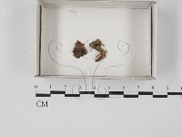 登錄號:F0018172藏品圖，第1張