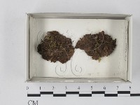 登錄號:F0018173藏品圖，第1張