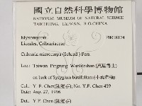 登錄號:F0018174藏品圖，第2張