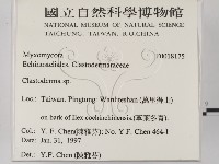 登錄號:F0018175藏品圖，第2張