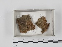 登錄號:F0018175藏品圖，第1張
