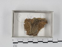 登錄號:F0018176藏品圖，第1張