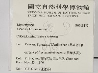 登錄號:F0018177藏品圖，第2張