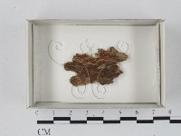 登錄號:F0018177藏品圖，第1張