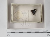 登錄號:F0018178藏品圖，第1張