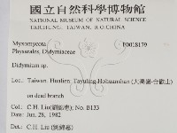 登錄號:F0018179藏品圖，第2張