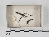 登錄號:F0018180藏品圖，第1張