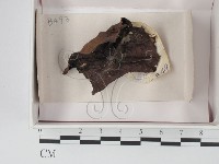 登錄號:F0018182藏品圖，第1張