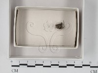 登錄號:F0018185藏品圖，第1張