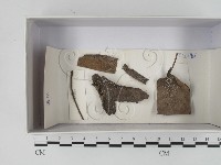登錄號:F0018187藏品圖，第1張