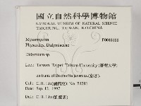 登錄號:F0018188藏品圖，第2張