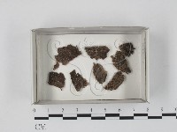 登錄號:F0018188藏品圖，第1張