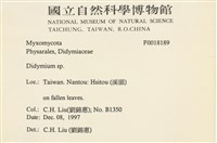 登錄號:F0018189藏品圖，第2張