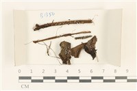 登錄號:F0018189藏品圖，第1張