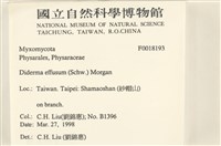 登錄號:F0018193藏品圖，第2張
