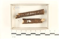 登錄號:F0018193藏品圖，第1張