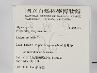 登錄號:F0018196藏品圖，第2張