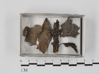 登錄號:F0018196藏品圖，第1張