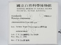 登錄號:F0018197藏品圖，第2張