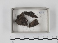 登錄號:F0018199藏品圖，第1張