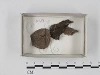 登錄號:F0018200藏品圖，第1張