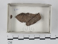 登錄號:F0018202藏品圖，第1張
