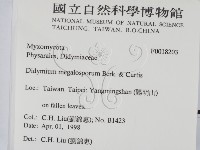 登錄號:F0018203藏品圖，第2張