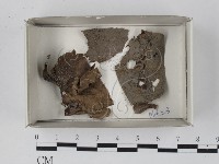 登錄號:F0018203藏品圖，第1張