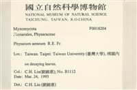 登錄號:F0018204藏品圖，第2張