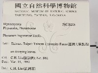 登錄號:F0018206藏品圖，第2張