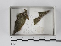 登錄號:F0018207藏品圖，第1張