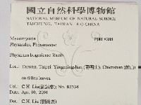 登錄號:F0018208藏品圖，第2張