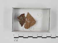 登錄號:F0018208藏品圖，第1張
